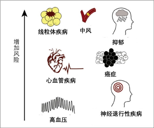 無創(chuàng)呼吸機(jī)