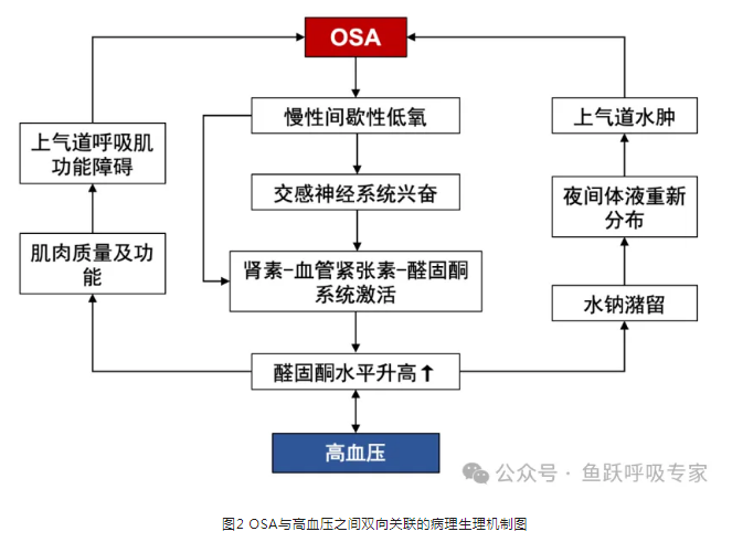 無創(chuàng)呼吸機,高流量呼吸濕化治療儀,睡眠監(jiān)測