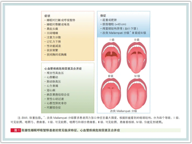 無創(chuàng)呼吸機(jī),高流量呼吸濕化治療儀,睡眠監(jiān)測